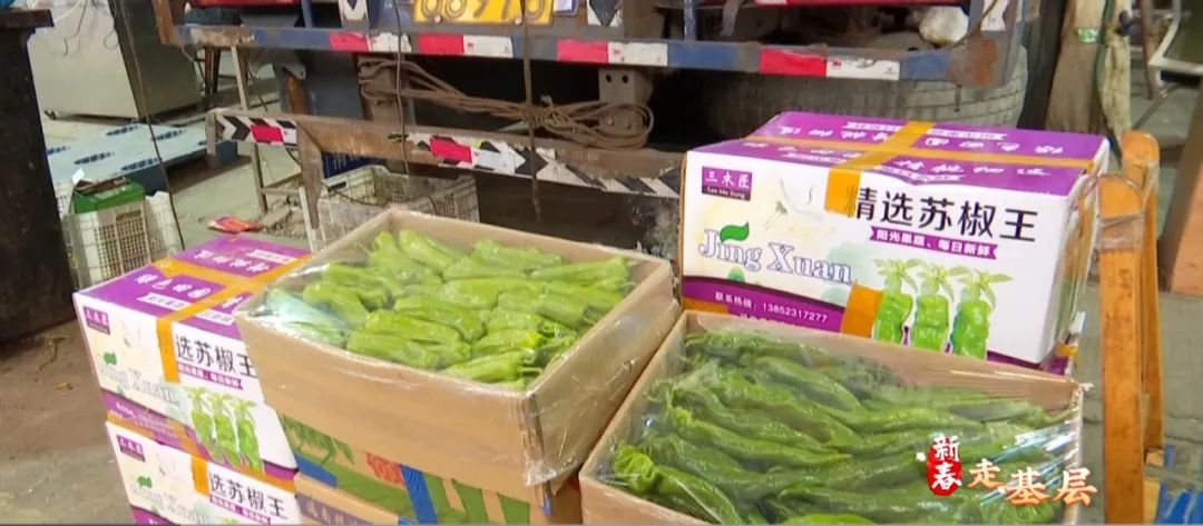 蔬菜价格回落 武汉市民菜篮子变“轻”了